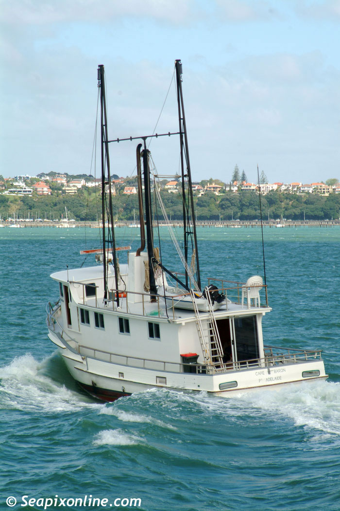Cape Baron ID 2339